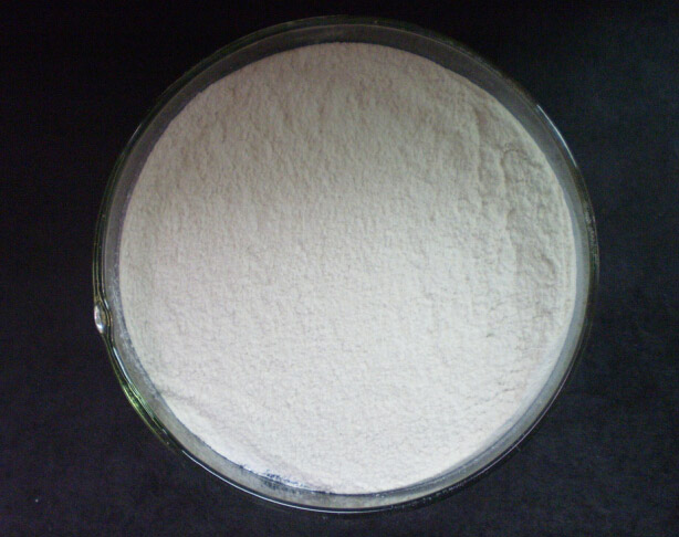 Xanthan gum